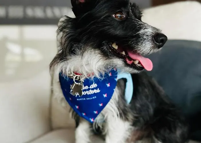 Hotel New Skanpol 3*